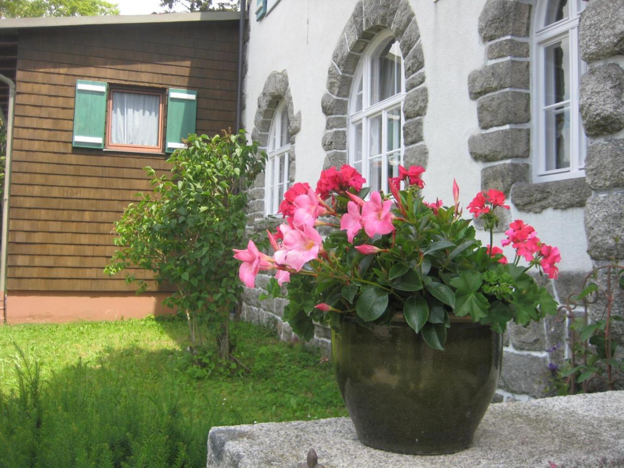 Gasthof Pension Strohmaier Haidmühle Exteriér fotografie